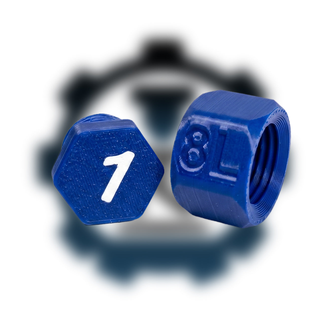 8L IDENTIFICATION CAP & PLUG